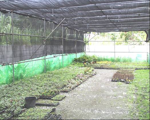  化作污泥 又護花