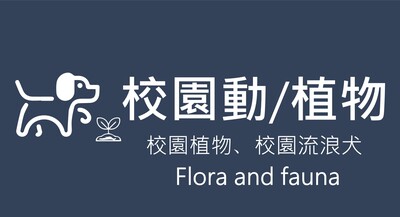 校園動植物圖片